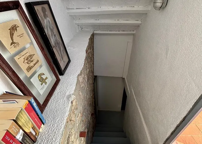 Mediona Iv Tarragona