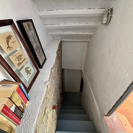 Mediona Iv Ταραγόνα